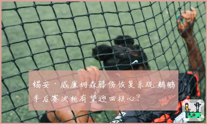 锡安·威廉姆森膝伤恢复乐观 鹈鹕季后赛次轮有望迎回核心？