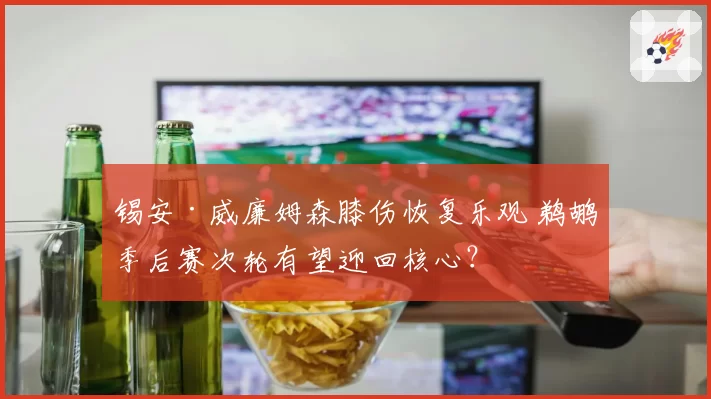 锡安·威廉姆森膝伤恢复乐观 鹈鹕季后赛次轮有望迎回核心？