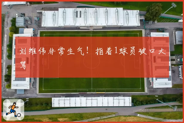 刘维伟非常生气！指着1球员破口大骂