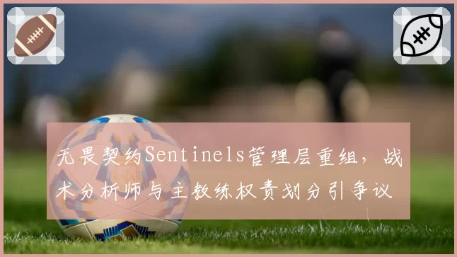 无畏契约Sentinels管理层重组,战术分析师与主教练权责划分引争议
