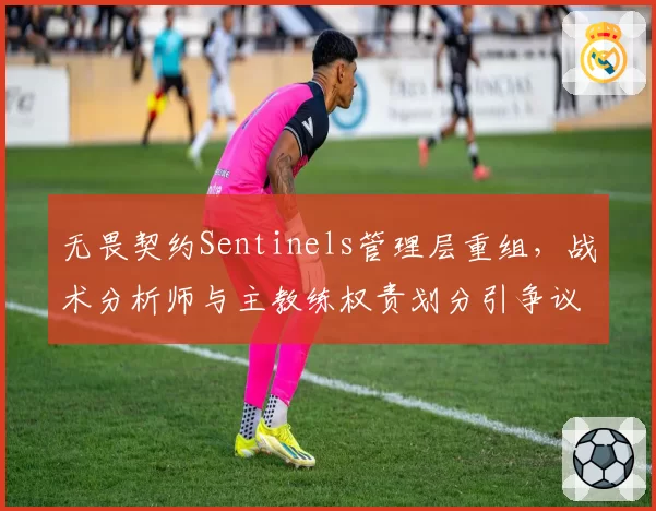 无畏契约Sentinels管理层重组,战术分析师与主教练权责划分引争议